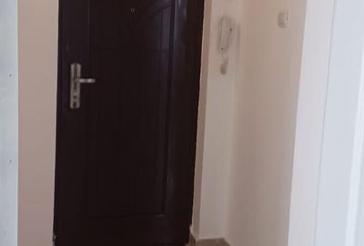 Apartament cu 2 camere decomandat, mobilat în Dristor - 10