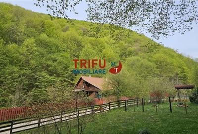 Casă cu 4 camere în Ighiel - 11