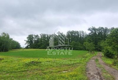 Teren mixt de 8.600 mp, ideal pentru investitie, Cuied - 2