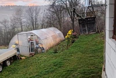 Vand casa batraneasca sat Trestia - 6