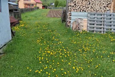 Casă cu 4 camere în Toplița - 3