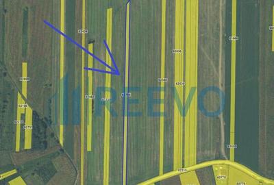 Teren de vanzare, Com. Sarata, Bacau - 1