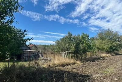 3700 mp teren intravilan Dragomiresti - 4