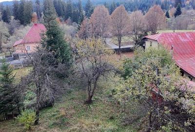 Casa de vacanta Timisu de Sus/Brasov/Oportunitate investitie - 7