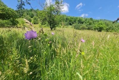 View superb:intravilan,constructie rezidenta/hotel, 2.327 mp,Moieciu de Jos, Bra - 26