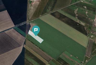 Teren agricol extravilan de 22500 mp, în Variașu Mic