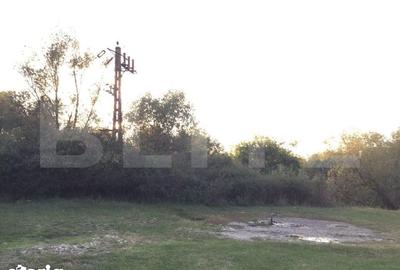 Teren de 25383 mp, în Belinț - 6
