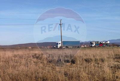 Teren de 7469 mp, în Central - 3