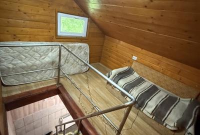 Cabana 5 dormitoare - 138.6 mp utili - 386 mp teren - Baisoara! - 10