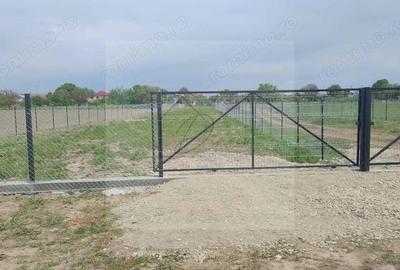 Teren intravilan 2078 mp langa padure - Piscu Ciolpani Snagov - 4