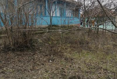 Casa batraneasca in Sat Jijia com Albesti - 3