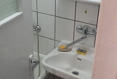 Apartament cu 2 camere nedecomandat, mobilat în Brotăcei - 1