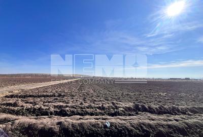 Teren agricol extravilan de 10000 mp, în Stroiești - 10