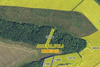 Teren de 9200 mp, în Murgași - 2