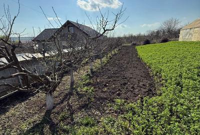 Spațiu comercial, în Belcești - 1