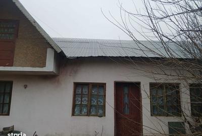 Casă cu 4 camere cu Teren 5000 Mp în Central - 2