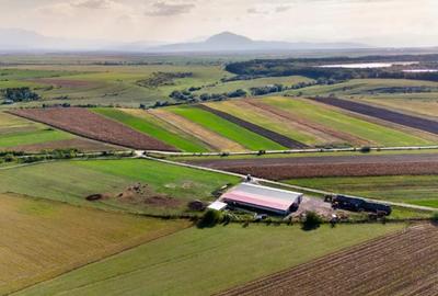 Teren de 18000 mp, în Rotbav - 5