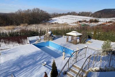 Casă individuală cu 6 camere cu Teren 2000 Mp în Făget - 2