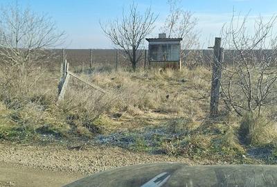 Teren de 800 mp, în Vânători - 3