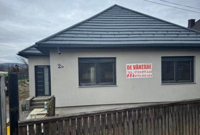 URGENT Vand Casa Renovata Recent in Viseu de Mijloc - 9
