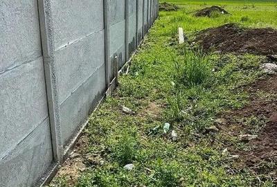 Teren de vanzare Berceni - Str.Miorita Teren de vanzare Berceni - Str.Miorita - 3