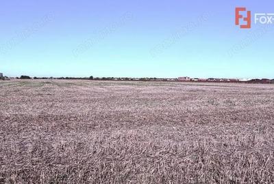 Teren de 40000 mp, în Sânandrei