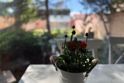 Casă individuală cu 4 camere cu Teren 337 Mp în Braytim - 2