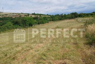 Teren 5590 mp INTRAVILAN Baicoi pret 17 euro/mp