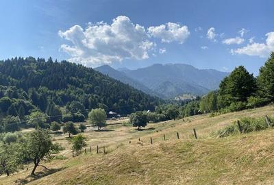 Teren extravilan de vanzare in Rasnov | 6.070 mp | Vedere panoramica - 2