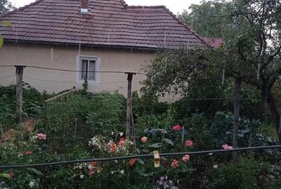 Casă cu 2 camere cu Teren 1600 Mp în Ghindari