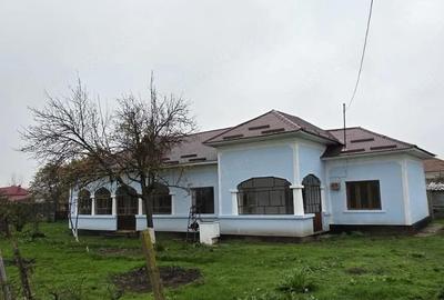 Casă cu 4 camere cu Teren 1400 Mp în Lița - 5