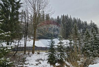 Teren in Bucovina, intravilan 3824 mp Deia-Frumosu, Suceava - 16