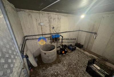 Casa tradi?ionala de vanzare in comuna Podoleni, jud. - 18