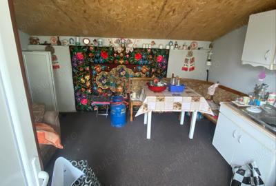 Casă cu 2 camere în Pestișu Mic - 9