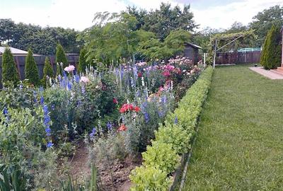 Vila, Republicii, Bacau - 29