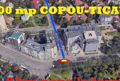 Semicentral, Copou ?icau, teren 1200 mp - 5