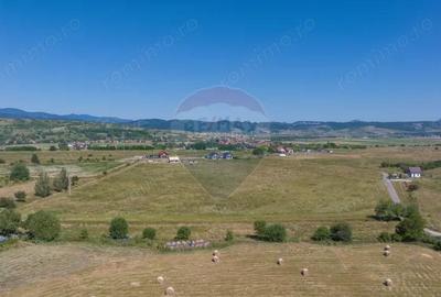 Teren Bran -Sohodol, Strada La mesteceni, 6900mp - 6