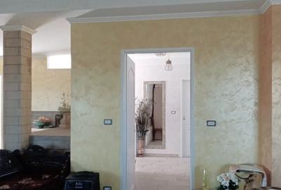 Vila in Rusii Manastioara - 17