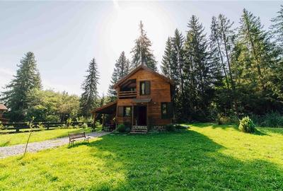 Casa de vacanta (Borzont, jud. Harghita) - 2