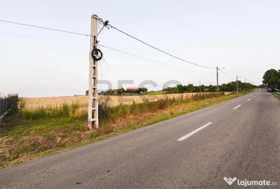 Teren de 1000 mp, în Lăzăreni - 12