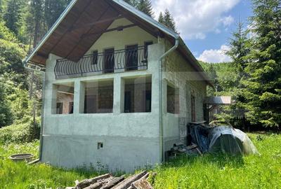 Cabana cu 4 camere, zona Șugag - Tau - Bistra - 2