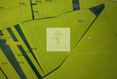 Teren ideal pentru investi?ie Nojorid, Bihor - 2