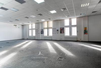 Birou, de 312 mp, în Gorjului - 1