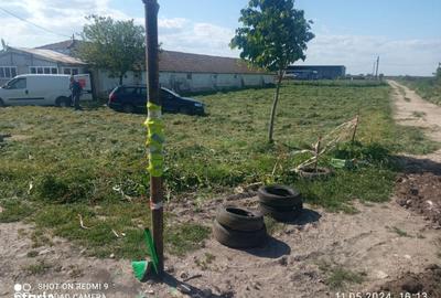 Teren de 4469 mp, în Topraisar - 4