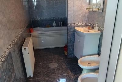 Casă individuală cu 3 camere cu Canalizare în Brătianu - 9