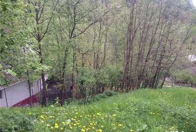 Teren de 2508 mp, în Aluniș - 2