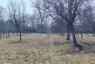 Teren de 400 mp, în Domnești - 3