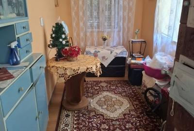 Casa 5 camere cu teren generos in Seitin judetul Arad- - 7