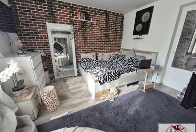 Apartament cu 2 camere semidecomandat, mobilat în Cetate - 4