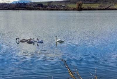 Spațiu comercial, în Central